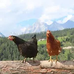 شقة Erblehenhof