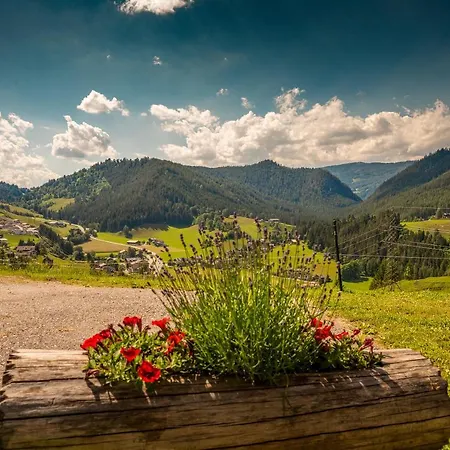 Erblehenhof Apartament Forstau (Salzburg)