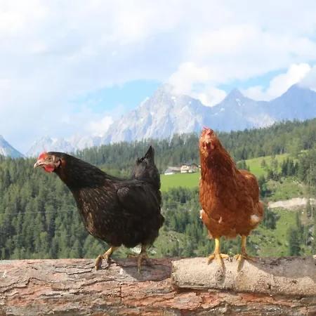 Apartament Erblehenhof