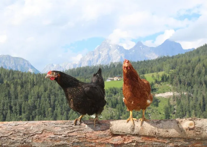 Апартаменты Erblehenhof